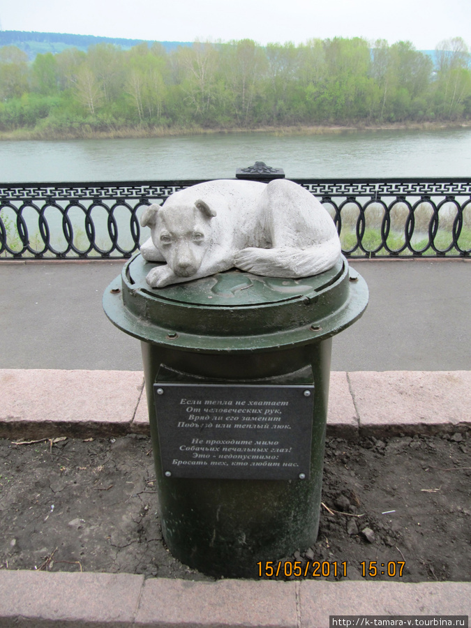памятник бездомной собаке Кемерово, Россия
