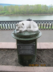памятник бездомной собаке