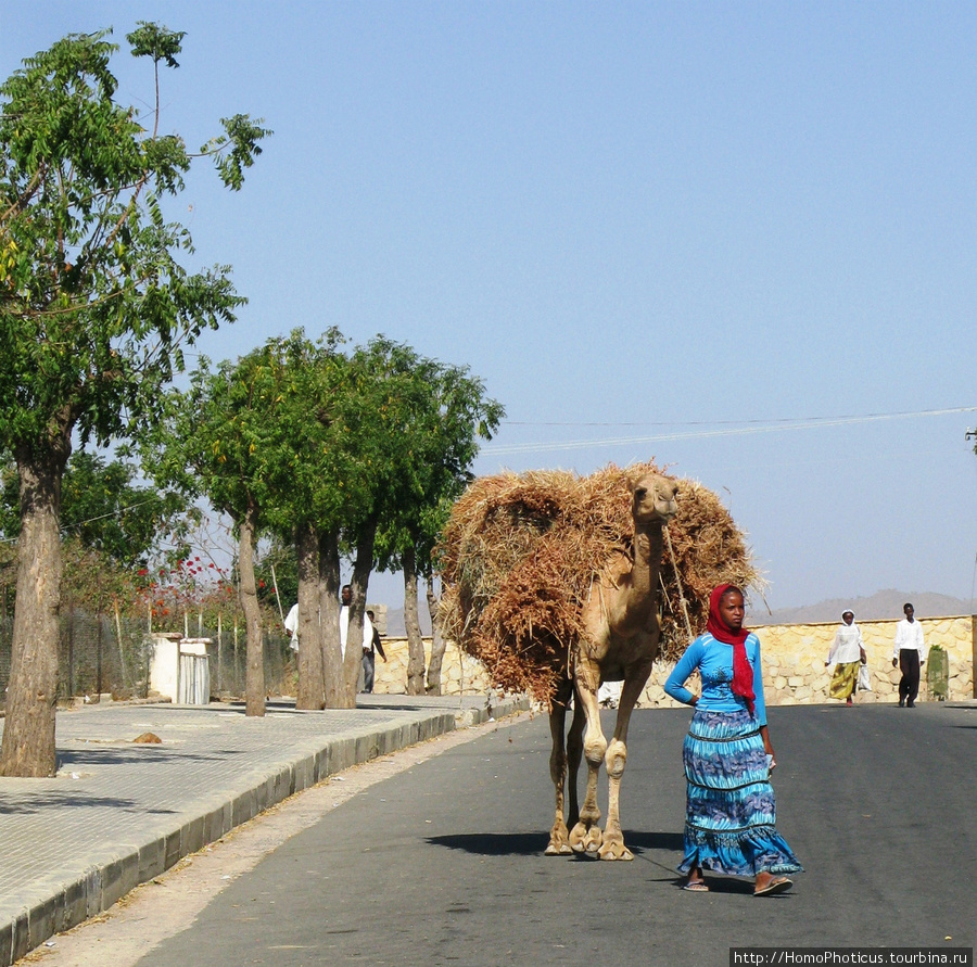 На улицах Кэрэна Эритрея