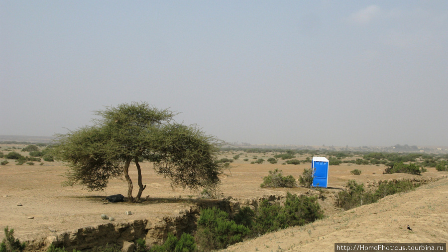 Адулис, платный туалет Эритрея