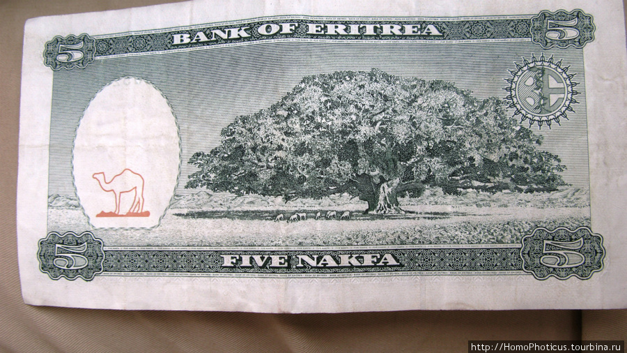 Валюта Эритреи, изображен