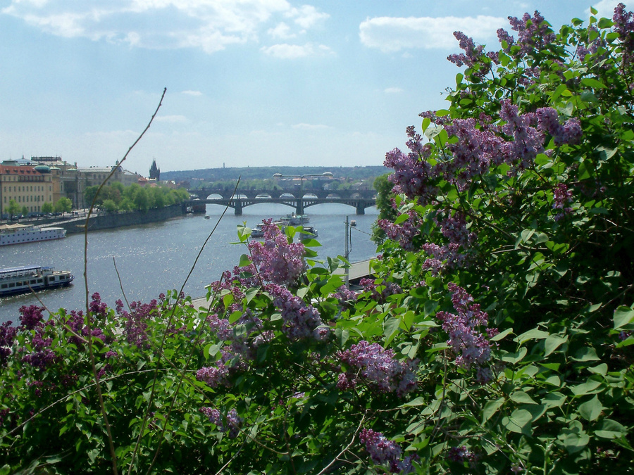 город Прага Прага, Чехия