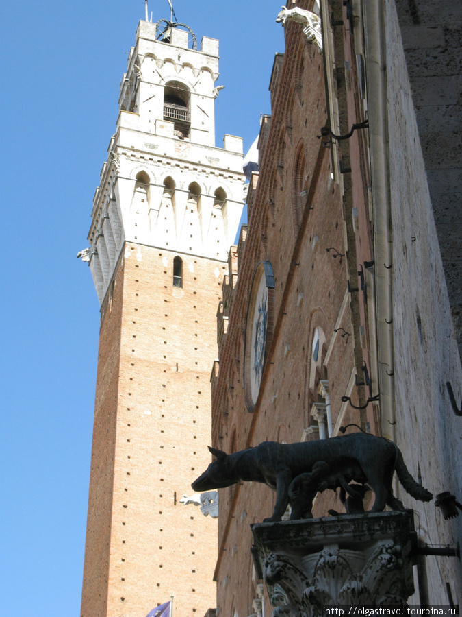 Символ Сиены: такие статуи Волчицы встречаются в Сиене на каждом шагу. Сиена, Италия