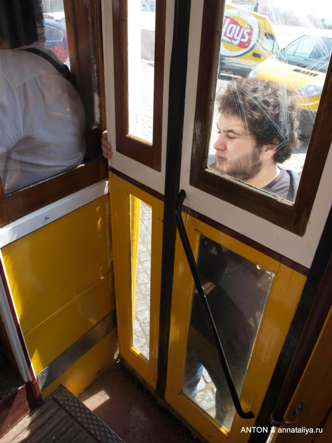 Заяц в рейсовом трамвае Лиссабон, Португалия