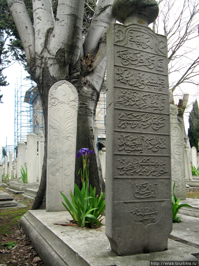 Кладбище у мечети Сулейманийе. Стамбул, Турция