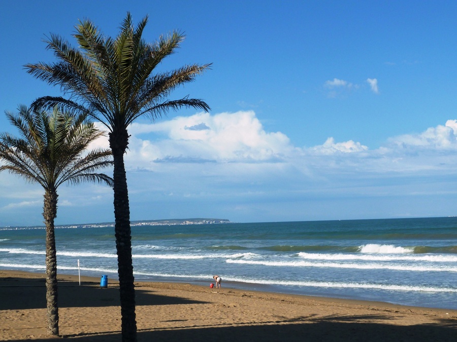 Гуардамар: пальмы у моря Автономная область Валенсия, Испания
