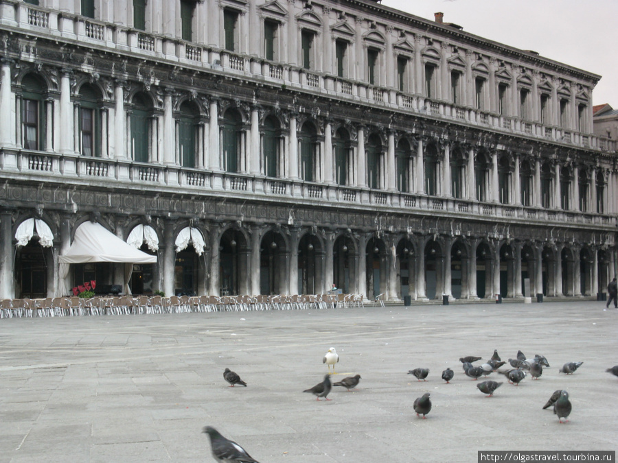 ... и голуби... Венеция, Италия