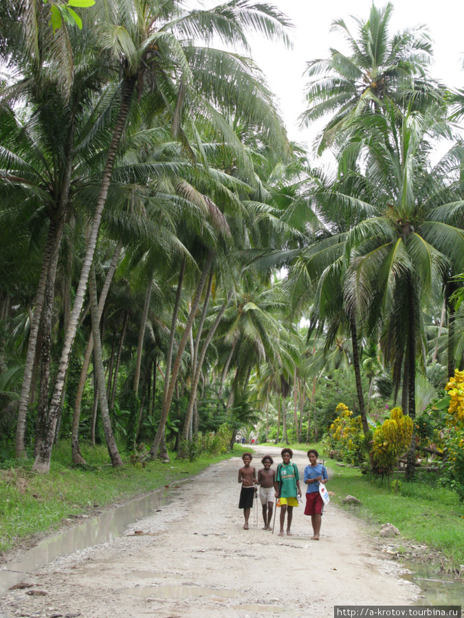 Километров на 20 тянется обитаемая зона Богии, вдоль океана Богия, Папуа-Новая Гвинея