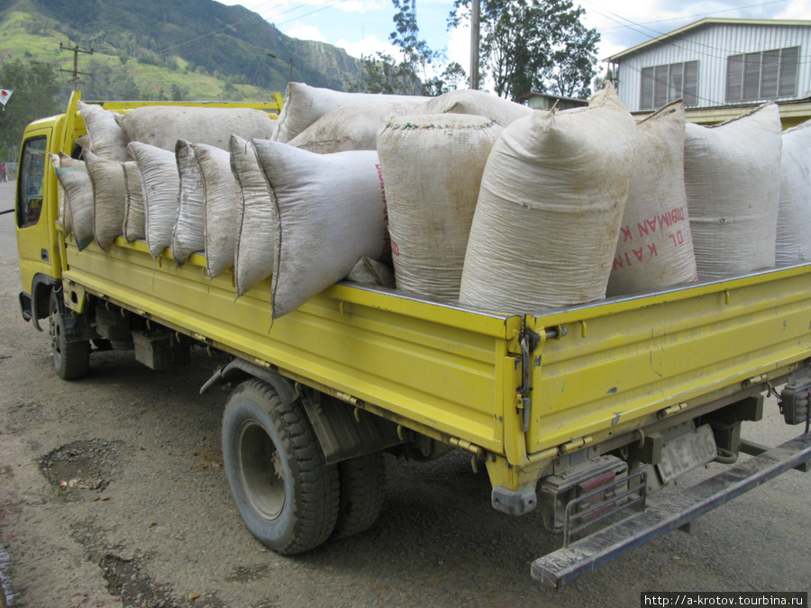 Скупщики везут кофе на фабрику Провинция Западное Нагорье, Папуа-Новая Гвинея