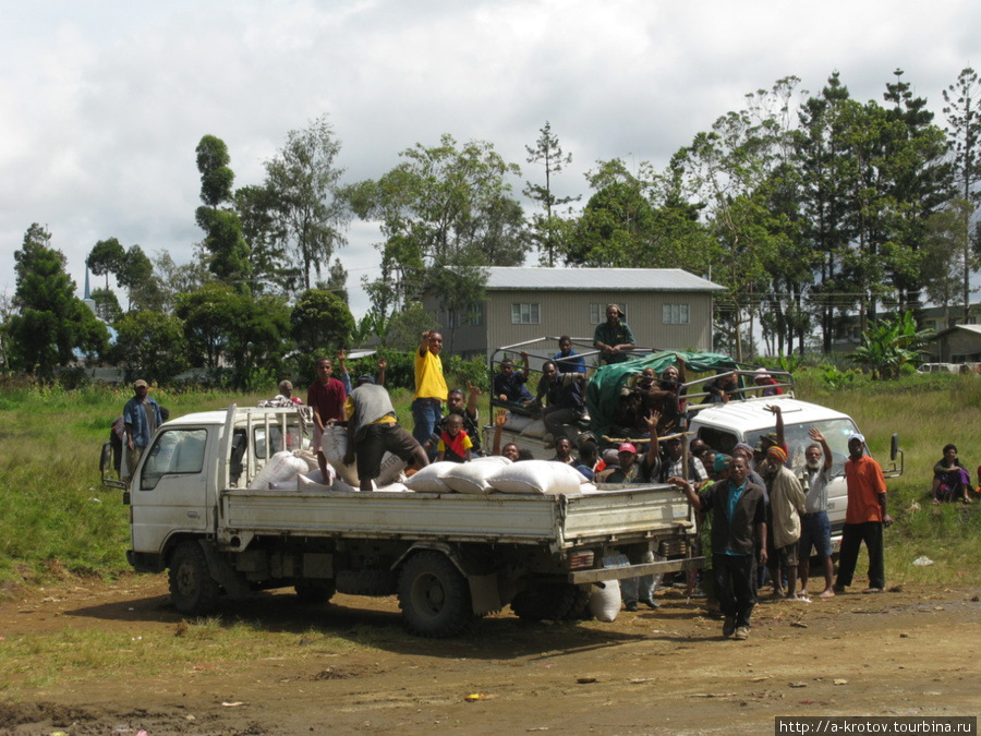 Скупщики везут кофе на фабрику Провинция Западное Нагорье, Папуа-Новая Гвинея