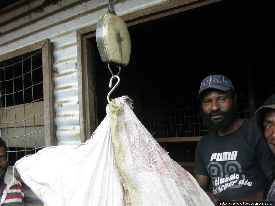 7-7,5 кина за килограмм (около 80 рублей) дают сейчас за кофе — максимальная цена за всю историю кофе Провинция Западное Нагорье, Папуа-Новая Гвинея