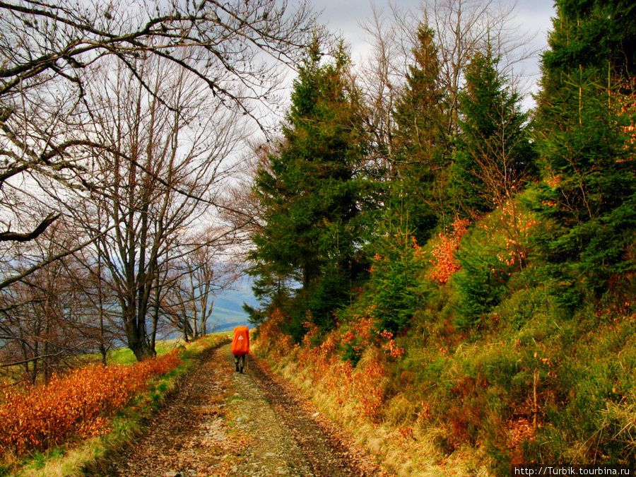 дорога с горы Плай в поселок Воловец Закарпатская область, Украина