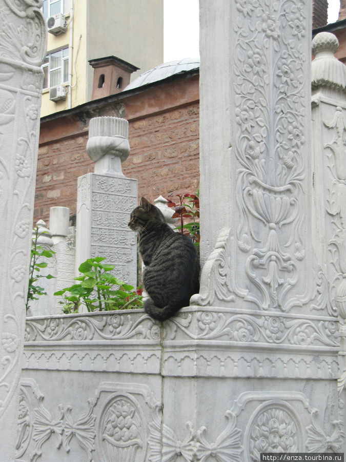 Вот такое бесплатное украшение одного  из надгробий на кладбище у Тюрбе султана Абдул-Хамида I. Стамбул, Турция