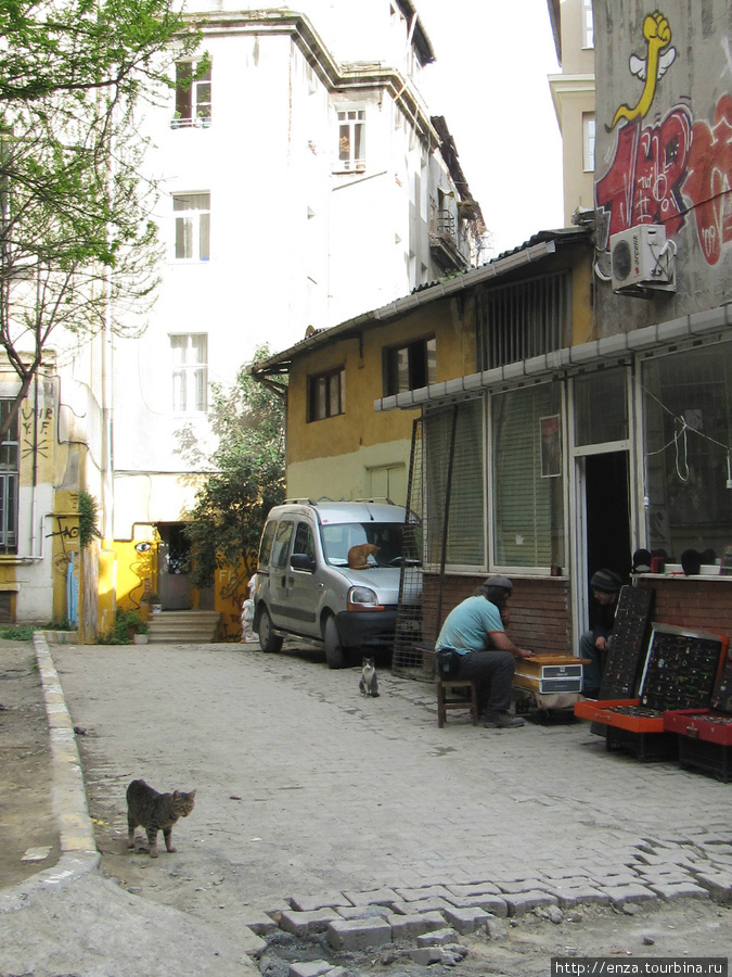 Сценка из жизни подворотни в районе Галтской башни. Стамбул, Турция