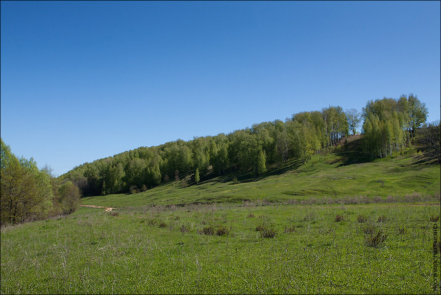 Седьмой слет кладоискателей. Шава Нижегородская область, Россия