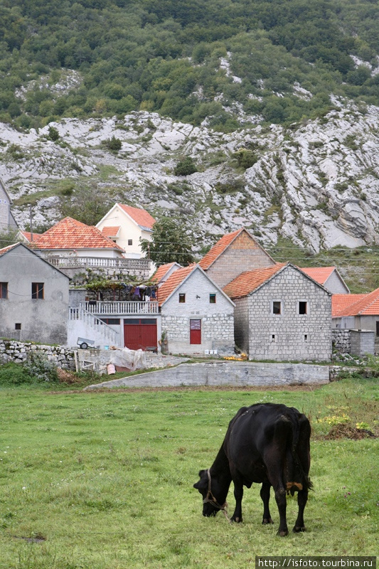 Черногорская деревня. Будва, Черногория