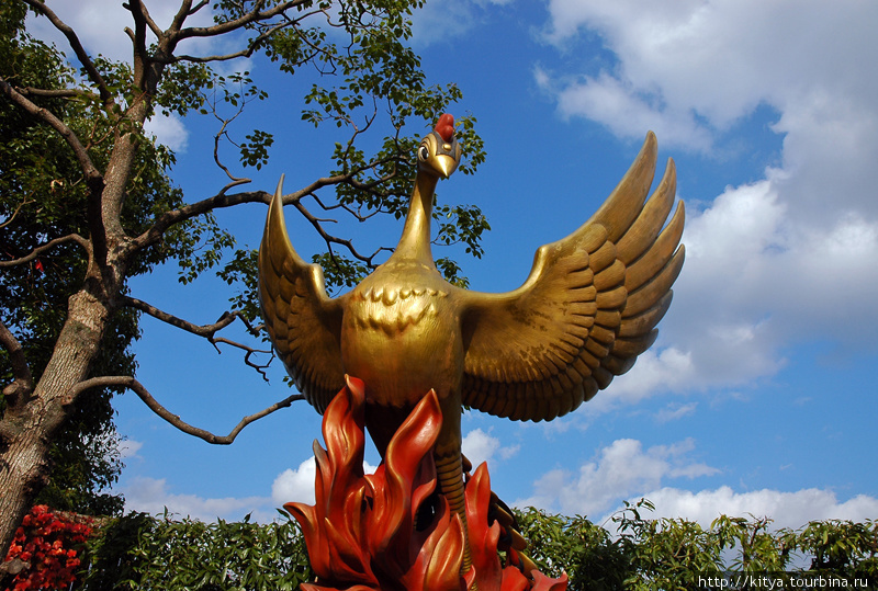 Жарптица — один из символов творчества Осаму Тэзуки Такарадзука, Япония