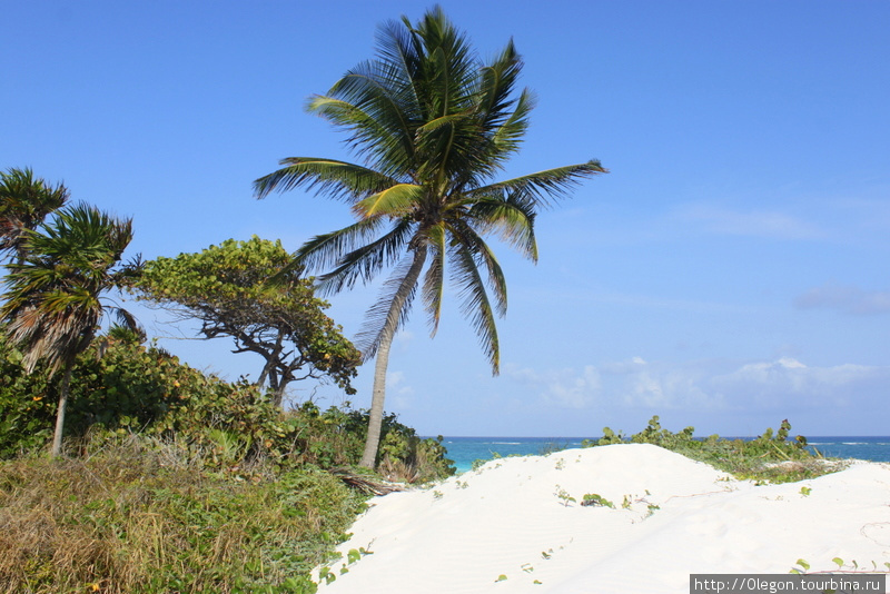 Голубая вода моря, белоснежный песок, зелёная пальма, облака- всё это пляж Тулума Тулум, Мексика