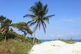 Голубая вода моря, белоснежный песок, зелёная пальма, облака- всё это пляж Тулума