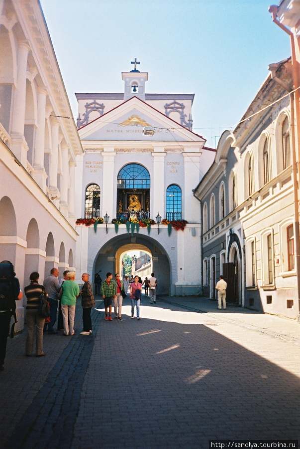 Литовские каникулы, или Вильнюс, Паланга, море, дюны и сосны Литва