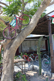 Прокат велосипедов в Тулуме