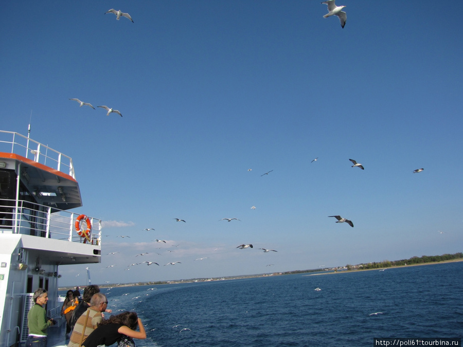 Путешествие на остров Тасос - часть 1 - Паром и птицы Тасос, остров Тасос, Греция