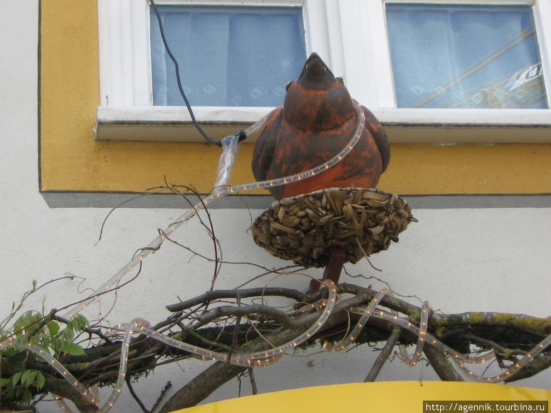 Уже свил легендарное гнездо Земля Бавария, Германия