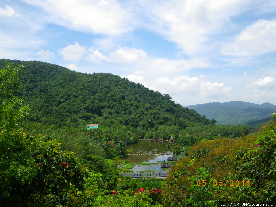 Тропический лес Янода.Джунгли Провинция Хайнань, Китай