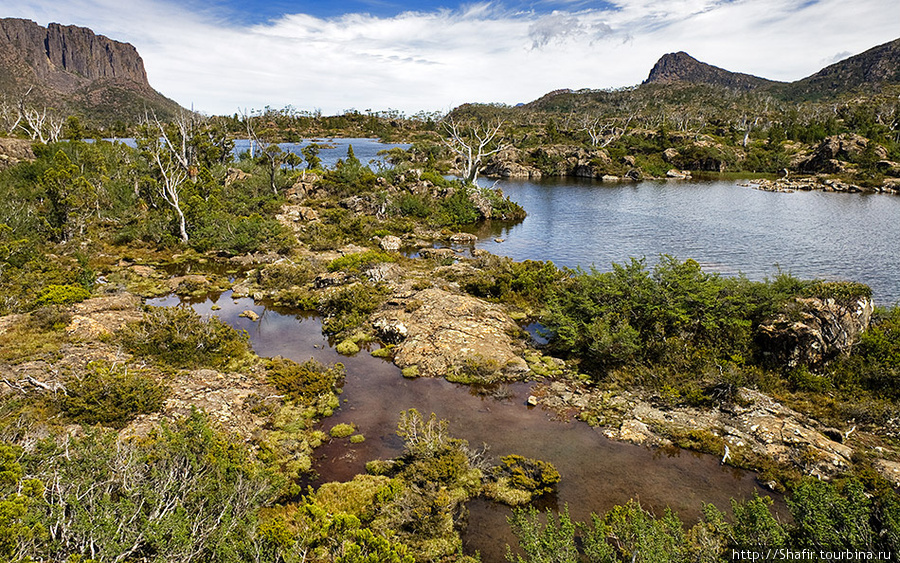На четвертый день был намечен Лабиринт — наверно самая необычная часть парка Штат Тасмания, Австралия