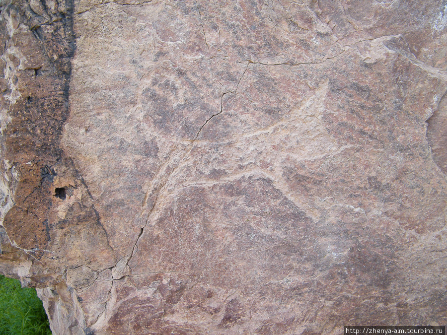 а этим петроглифам более 2000 лет. здесь изображена собака Урочище Тамгалы-Тас (петроглифы), Казахстан