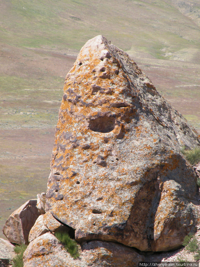 просто каменный великан :) Урочище Тамгалы-Тас (петроглифы), Казахстан