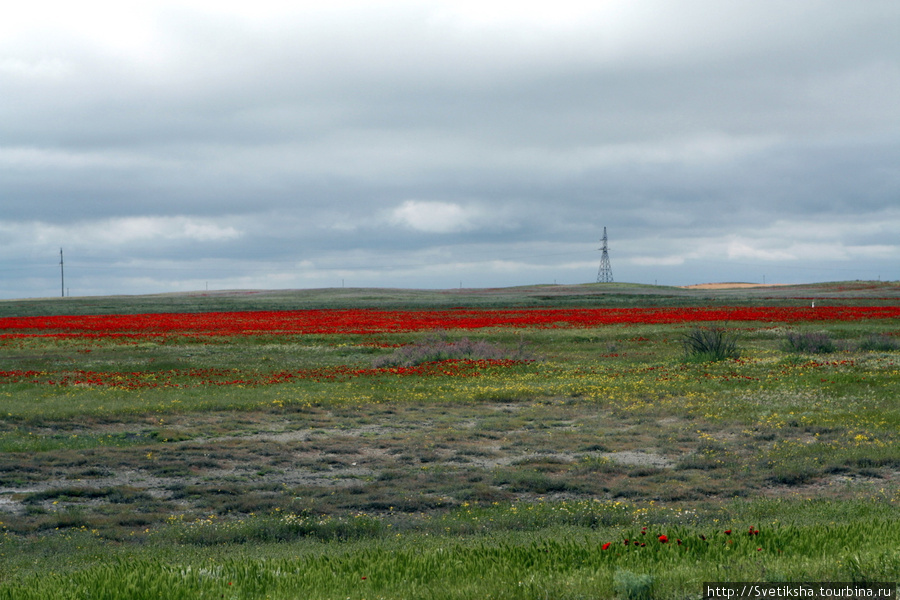 В самом центре калмыцких степей Элиста, Россия