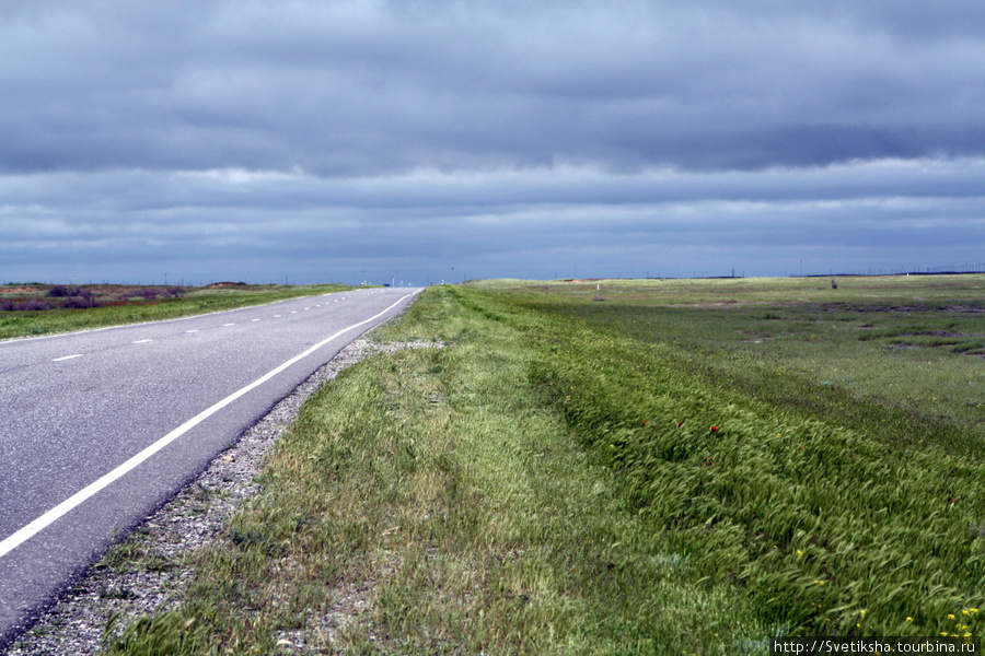 В самом центре калмыцких степей Элиста, Россия