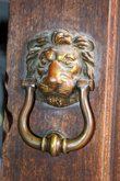 Дверная ручка в форме льва