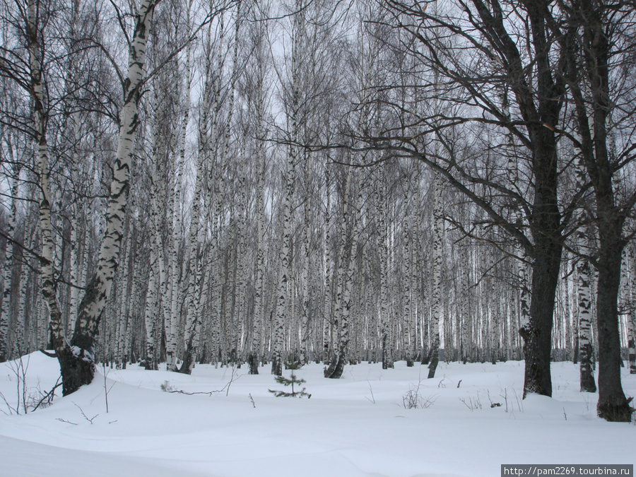 Русская глубинка. Меленки Меленки, Россия