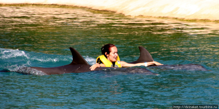 Плавание с дельфинами это море эмоций...они и танцуют и 