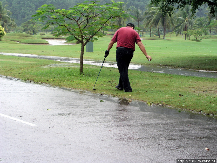 гольфистам не помеха.. Кампонг-Карамбунай, Малайзия