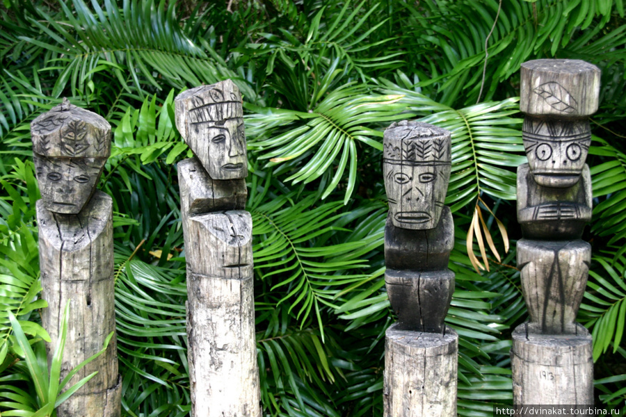 Остатки индейской цивилизации народа Таинос Баваро, Доминиканская Республика