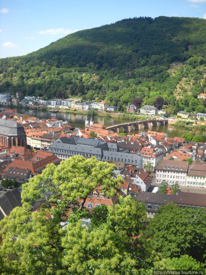 Река и город Гейдельберг, Германия