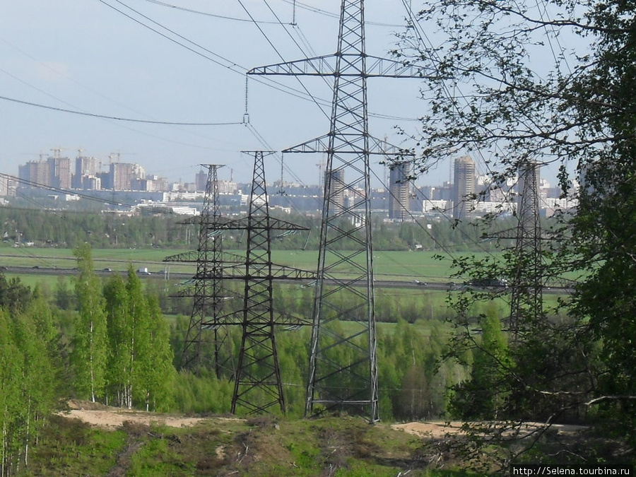 Юкки - небольшая фото-прогулка Юкки, Россия