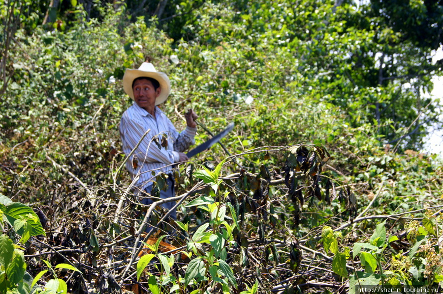 Фермер с мачете Сан-Педро-ла-Лагуна, Гватемала