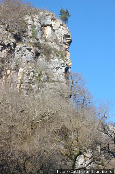 Агурское ущелье весной Мацеста, Россия