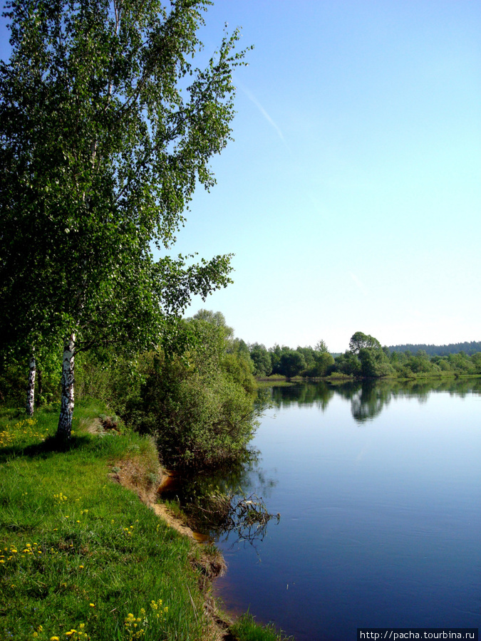 Р.Березина Лещины Березинский биосферный заповедник, Беларусь