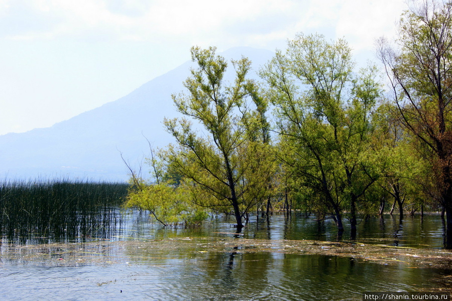 Уровень воды поднялся, прибрежные заросли затопило Сан-Педро-ла-Лагуна, Гватемала