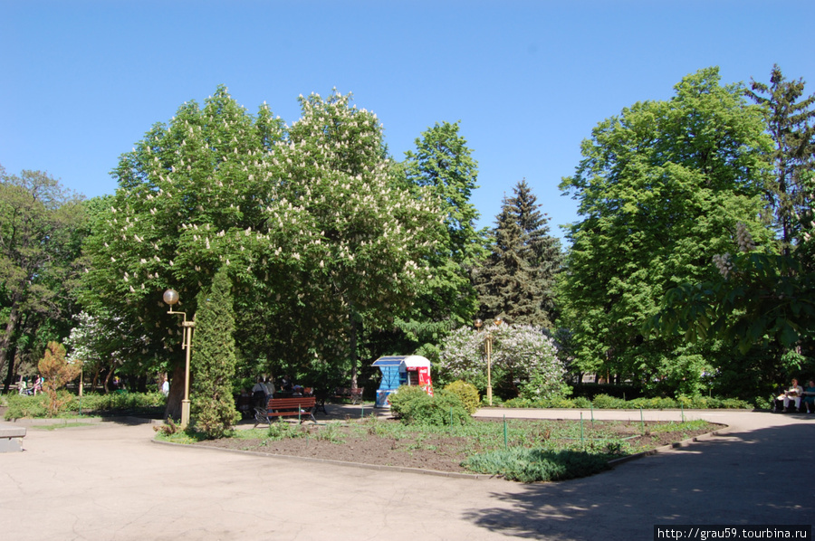 Май в Липках Саратов, Россия