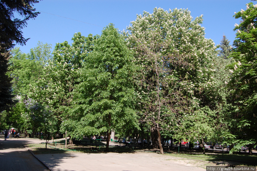 Май в Липках Саратов, Россия