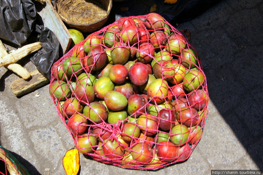 Сезон манго Сантьяго Атитлан, Гватемала