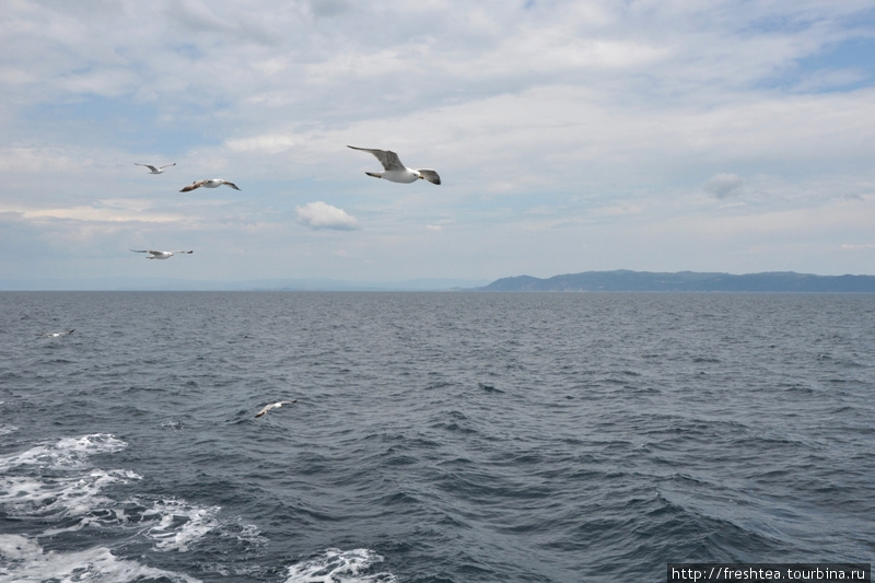Круиз вокруг Афона: море, чайки, корабли (часть 1) Центральная Греция, Греция