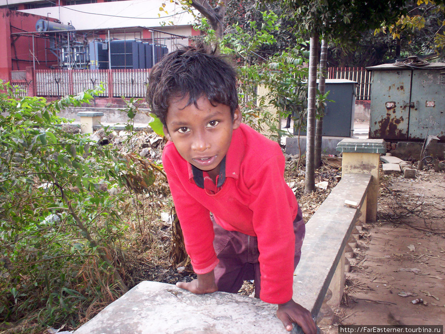 Мальчик-калькуттец Калькутта, Индия