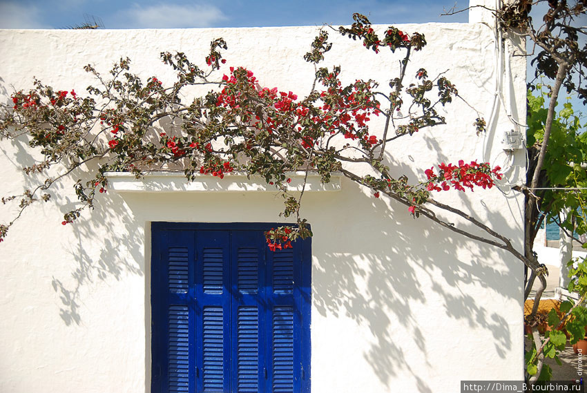 Весна в Греции Остров Кос, Греция